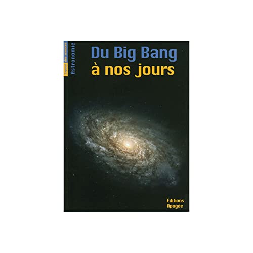 Beispielbild fr Du Big Bang  nos jours zum Verkauf von Ammareal