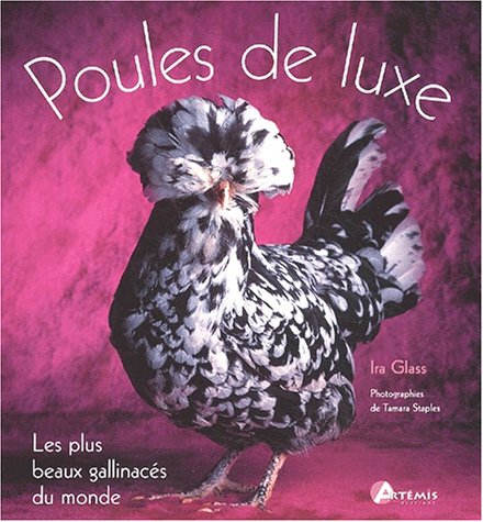 Stock image for Poules De Luxe : Les Plus Beaux Gallinacs Du Monde for sale by RECYCLIVRE