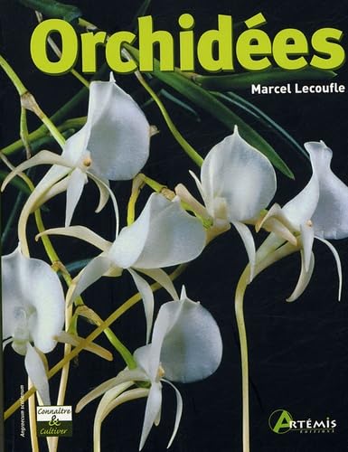 Imagen de archivo de Orchides a la venta por RECYCLIVRE