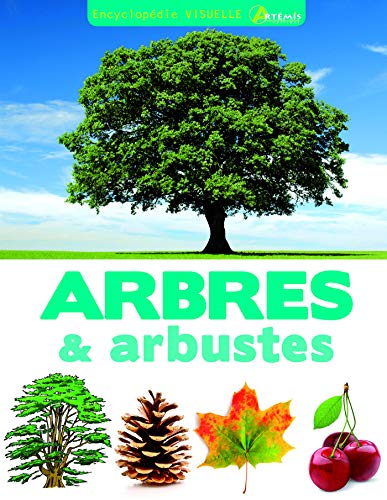 Beispielbild fr Encyclopdie visuelle des arbres et arbustes zum Verkauf von medimops