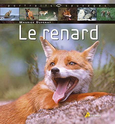 Beispielbild fr Le renard zum Verkauf von Ammareal