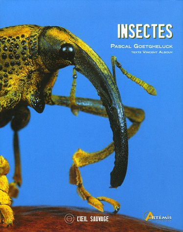Imagen de archivo de Insectes a la venta por Ammareal