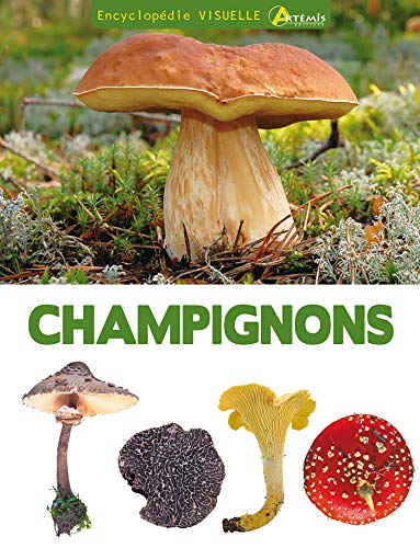 Beispielbild fr Encyclopdie visuelle des champignons zum Verkauf von medimops