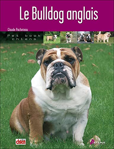 Beispielbild fr Le Bulldog anglais zum Verkauf von Ammareal