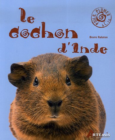 Stock image for Le cochon d'Inde for sale by Ammareal