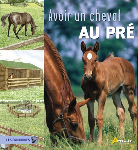 Beispielbild fr Avoir un cheval au pr zum Verkauf von Ammareal