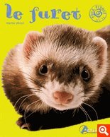 Stock image for Le furet for sale by Ammareal