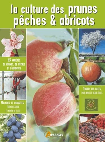 Beispielbild fr La Culture Des Prunes, Pches Et Abricots zum Verkauf von RECYCLIVRE