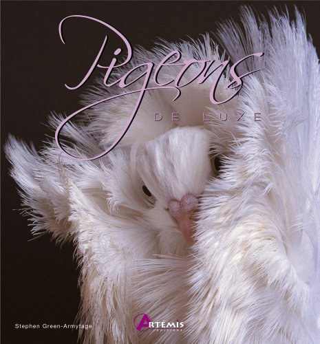 Imagen de archivo de PIGEONS DE LUXE a la venta por Librairie rpgraphic