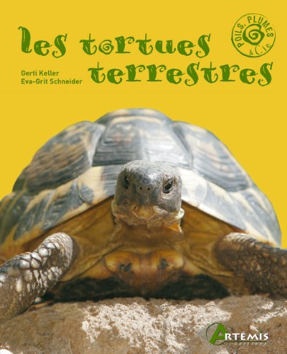Stock image for Tortues Terrestres for sale by medimops