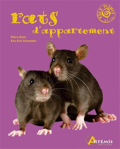 9782844166791: Les rats d'appartement