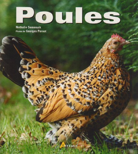 Beispielbild fr Poules zum Verkauf von EPICERIE CULTURELLE