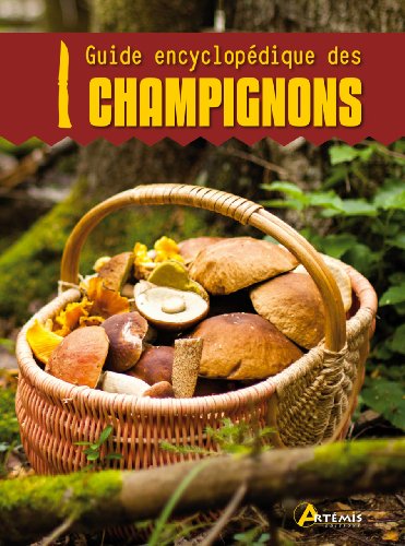 9782844167590: Mini-guide encyclopdique des champignons