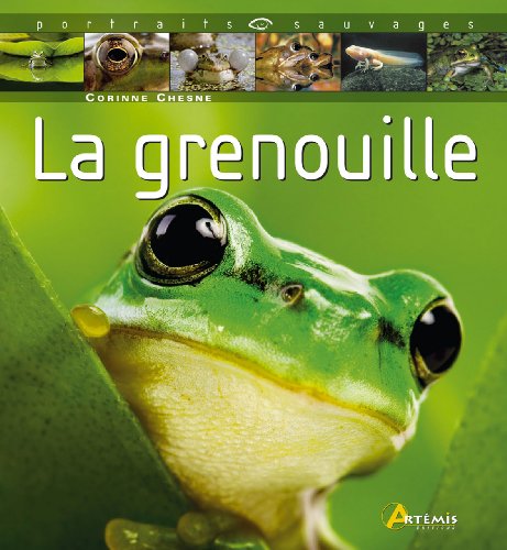 Beispielbild fr La grenouille zum Verkauf von medimops