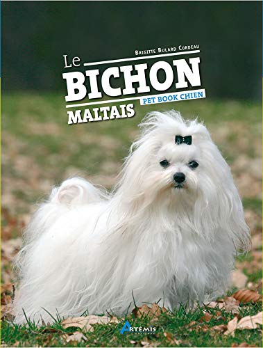 Beispielbild fr Bichon Maltais zum Verkauf von Ammareal