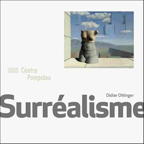 Stock image for SURREALISME [Broch] Ottinger didier for sale by BIBLIO-NET