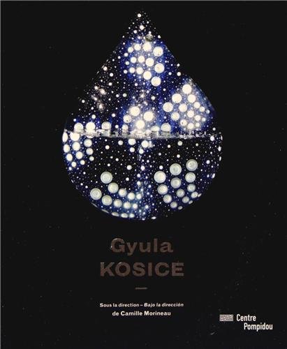 9782844266248: Gyula Kosice