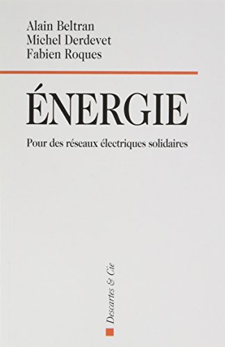Stock image for Energie : Pour des rseaux lectriques solidaires for sale by Ammareal