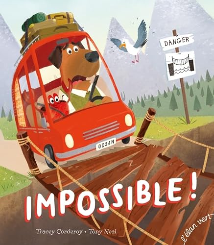 9782844555830: IMPOSSIBLE ! (Albums)