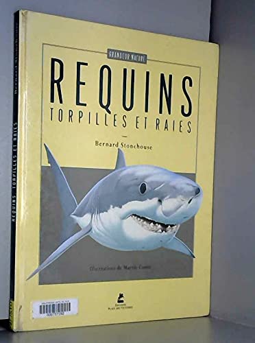 Beispielbild fr Requins, torpilles et raies zum Verkauf von Ammareal