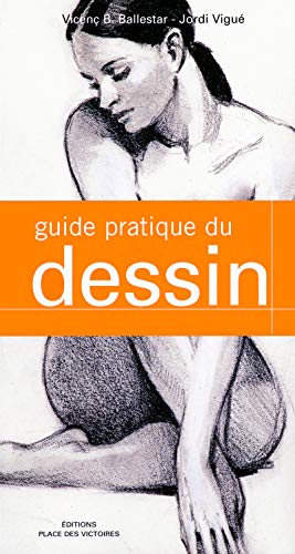 Imagen de archivo de Guide Pratique Du Dessin a la venta por RECYCLIVRE