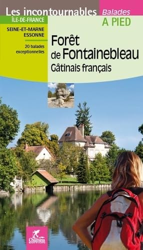 Stock image for Foret de Fontainebleau - Gatinais Francais for sale by Ammareal