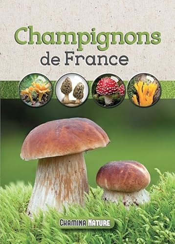 Stock image for CHAMPIGNONS DE FRANCE for sale by medimops