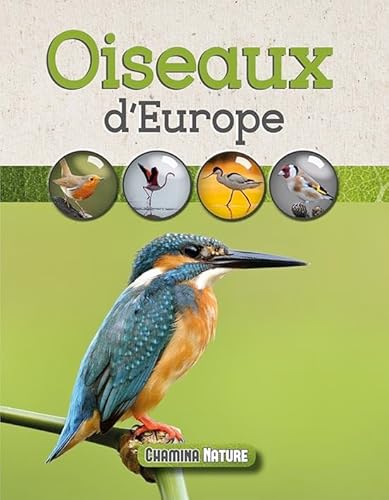 Beispielbild fr Oiseaux d'Europe [Poche] Duprat, Maurice zum Verkauf von BIBLIO-NET