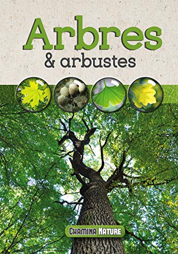 Stock image for ARBRES & ARBUSTES for sale by Librairie Th  la page