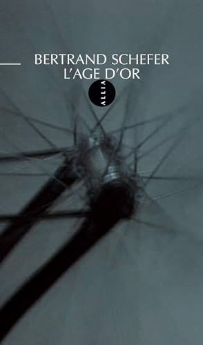 Immagine dell'editore per L'Age d'or venduto da medimops
