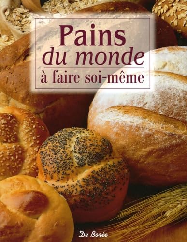 Stock image for Pains du monde : A faire soi-m me for sale by LeLivreVert