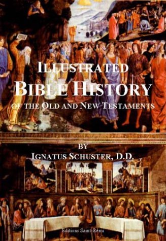 Stock image for illustrated Bible history of the old and new testaments for sale by Chapitre.com : livres et presse ancienne