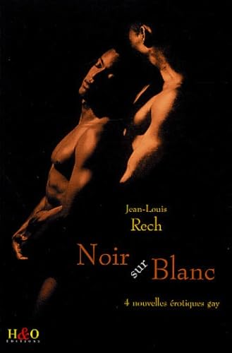 Imagen de archivo de Noir sur blanc a la venta por LiLi - La Libert des Livres