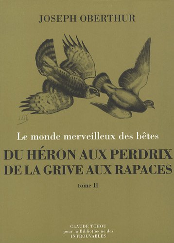Imagen de archivo de Du hron aux perdrix, de la grive aux rapaces : Tome 2, Les passereaux, les corvids, les rapaces a la venta por medimops