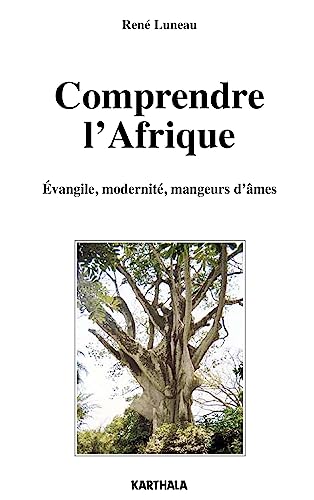 Beispielbild fr Comprendre l'Afrique : vangile - Modernit - Mangeurs d'me zum Verkauf von Ammareal