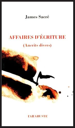 9782845872523: Affaires d'criture (Ancrits divers)