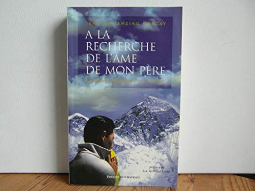 Stock image for A La Recherche De L'me De Mon Pre for sale by RECYCLIVRE