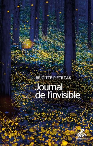 Stock image for Journal de l'invisible for sale by Gallix