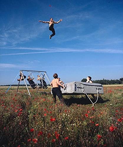 Stock image for Cirque  l'oeuvre: Centre national des arts du cirque [Reli] David, Gwenola for sale by BIBLIO-NET