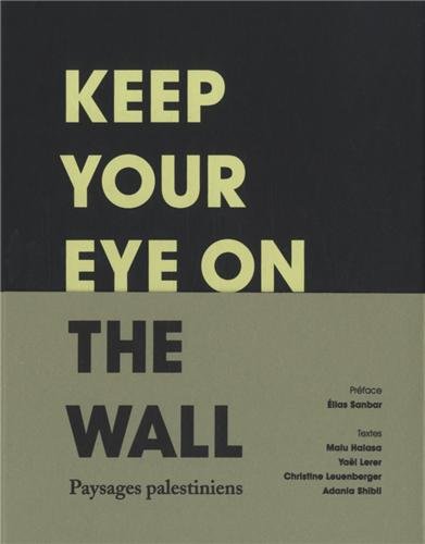 9782845974685: Keep your eye on the wall: Paysages palestiniens