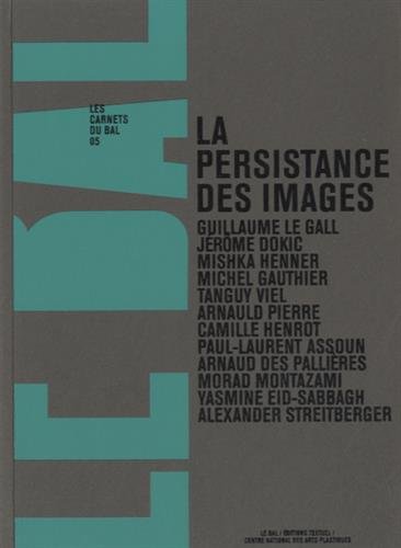 Imagen de archivo de La persistance des images : Volume 5 a la venta por Revaluation Books