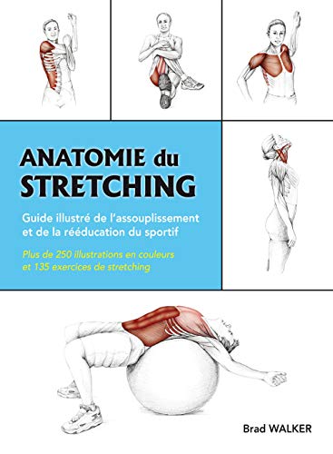 Beispielbild fr Anatomie du stretching: Guide illustr de l'assouplissement et de la rducation du sportif zum Verkauf von Gallix