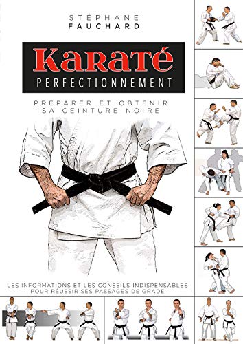 Stock image for Karat - Perfectionnement: Prparer et obtenir sa ceinture noire for sale by GF Books, Inc.