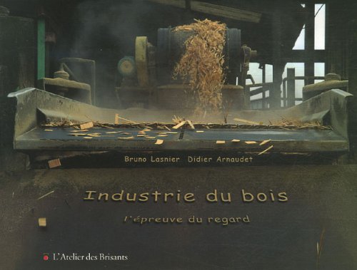 Stock image for Industrie du bois : L'preuve du regard for sale by LeLivreVert