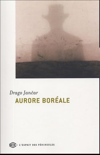 Stock image for Aurore borale for sale by Ammareal