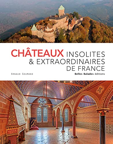 Beispielbild fr Chteaux insolites & extraordinaires de France - Edition prestige zum Verkauf von medimops