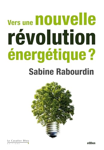 9782846703819: Vers une nouvelle rvolution nergtique ?