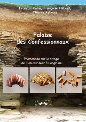 Imagen de archivo de Falaise des confessionnaux a la venta por Ammareal