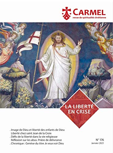 Beispielbild fr revue du Carmel n.176 : la libert en crise zum Verkauf von Chapitre.com : livres et presse ancienne