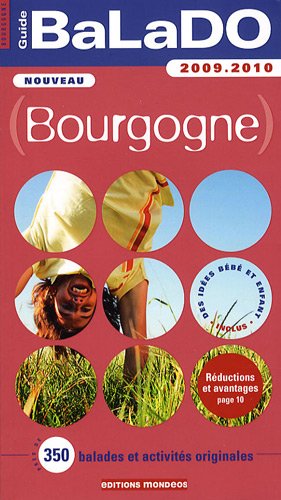 Imagen de archivo de Bourgogne a la venta por Ammareal